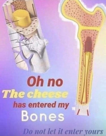 Time to consume my bones