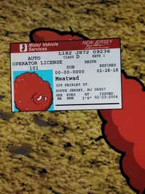 Time to renew Meatwad