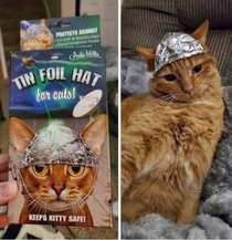 Tin Foil Cat