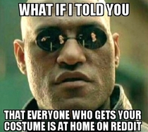 To all the people wondering why no one understood their costumes