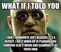 To people who complain about those that downvote reposts