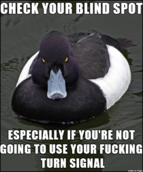 To the ass hat who tried to change lanes as I was passing him