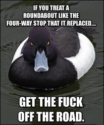 To the jackholes near my house that have made me slam on my brakes for no reason
