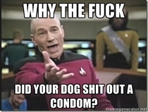 To the owner of the traveling smelly condom vendor