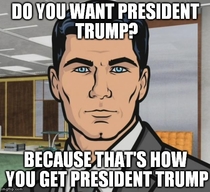 To the protestors at Trump rallies who are burning American flags and physically assaulting Trump supporters