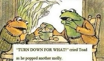 Toad sure knew how to party