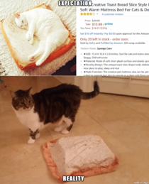 Toast Bread Slice Style Pet Mat 