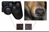 Today I learned that dog noses are made out of playstation controllers