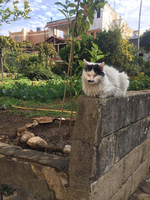 Today i planted my first ever tree and guess who was happy to take their first ever nap under it