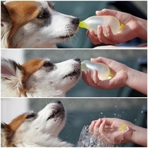 Today I taught my dog about water balloons