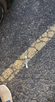 Today I was walking to my car and I found a fork in the road
