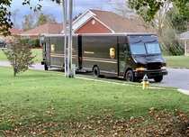 Today we witnessed the rare mating ritual of the UPS truck