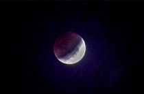Todays moon eclipse looks like a giant Pokeball