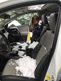 Toddler found the sunroof button