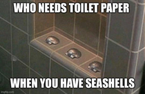 Toilet paper shortage