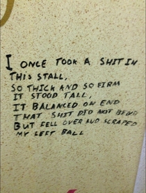 Toilet Poetry At Its Best