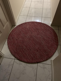 Told my partner to buy a carpet for the house and she brought back a pepperoni