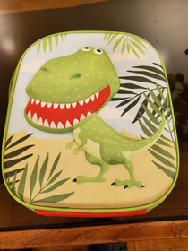 Told my wife that I dont care what my coworkers think I want this lunch bag