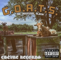 Took a picture of some goats and thought it looked like an album cover so I made it into one