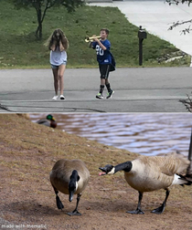 took a picture of these geese and it reminded me of something