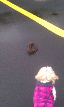 Took dog for walk Is it a rat Nope just Tumbleweave