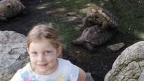 Took my daughter to the zoo and she wanted a picture with the dancing turtles