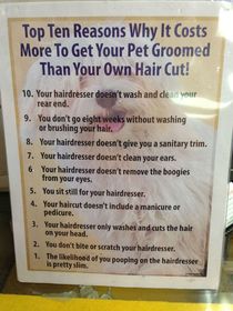 Took my dog to the groomer Surely one of you has done number 