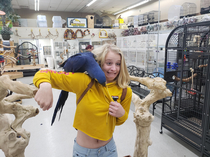 Took my friend to the bird store for the first time