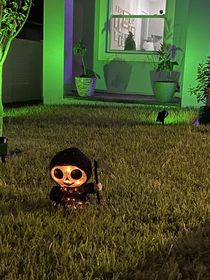 Took pictures of my Halloween decorations and my cat helped set the scene