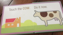 Touch the Cow Do it now