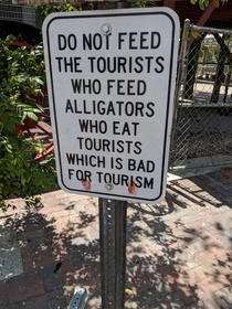 Tourism 