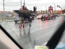 Traffic in Alaska