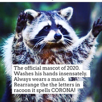 Trash Panda  Corona virus Mascot