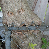 Tree art