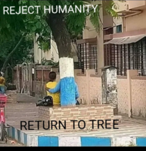 Trees do give life