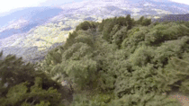Treetop wingsuit flying