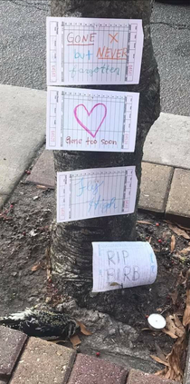 Tribute to dead birb found in Carrollton GA