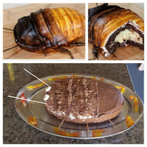 Tried my best to make a roach cake for my  yo