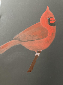 Tried painting a cardinal dont think hes feelin it