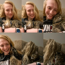 Tried to take a couple cute pics while snuggling with my cat Bradley Bradley had other plans