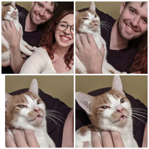 Tried to take a nice Christmas photo and my cat pulls this face