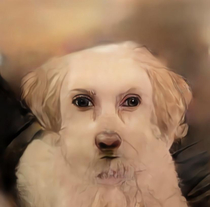 Tried using one of those cartoon apps on my dog
