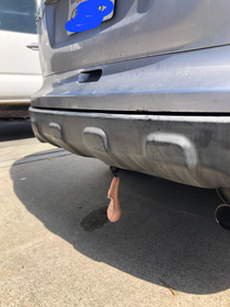 Truck Nut Friend lost a testicle so we hung this on his car