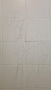 Trying to decipher the cryptic messages my SO leaves on the shower wall