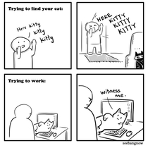 Trying to find your cat