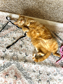 Tuna cordially invites you to play String Please RSVP immediately