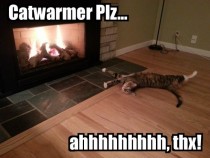 Turn on the catwarmer