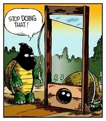 Turtle humor