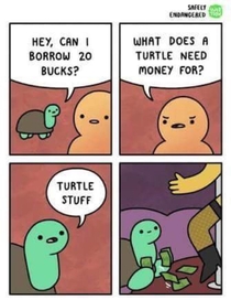 Turtle stuff