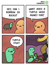 Turtle Stuff